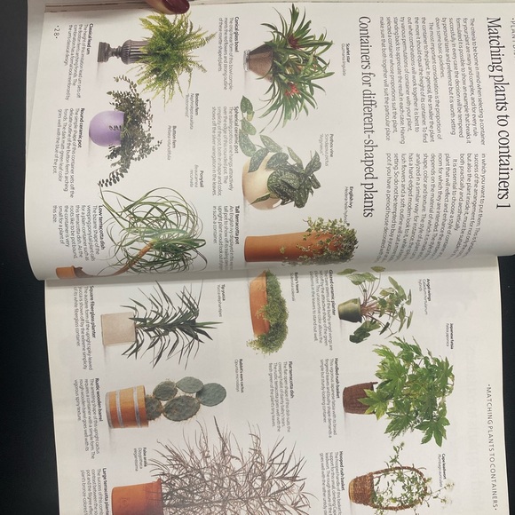 Table Decor 
The Indoor Garden Book Paperback  VGUC - Picture 3 of 4
